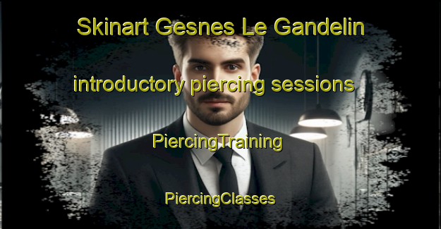 Skinart Gesnes Le Gandelin introductory piercing sessions | #PiercingTraining #PiercingClasses #SkinartTraining-France