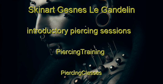 Skinart Gesnes Le Gandelin introductory piercing sessions | #PiercingTraining #PiercingClasses #SkinartTraining-France