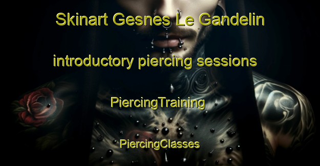 Skinart Gesnes Le Gandelin introductory piercing sessions | #PiercingTraining #PiercingClasses #SkinartTraining-France