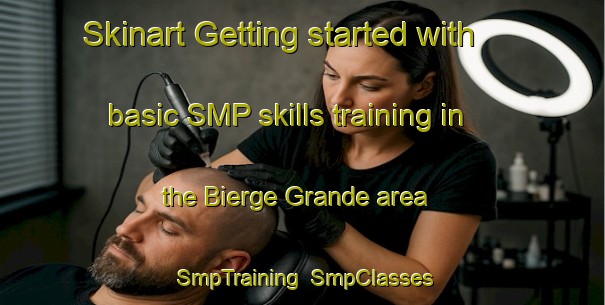 Skinart Getting started with basic SMP skills training in the Bierge Grande area | SmpTraining | SmpClasses | SkinartTraining-France