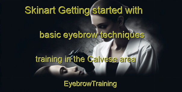 Skinart Getting started with basic eyebrow techniques training in the Calvese area | EyebrowTraining | EyebrowClasses | SkinartTraining-France