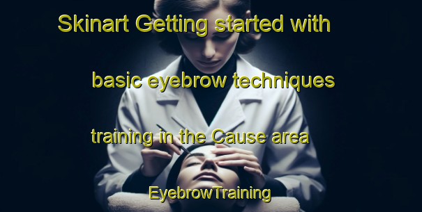 Skinart Getting started with basic eyebrow techniques training in the Cause area | EyebrowTraining | EyebrowClasses | SkinartTraining-France