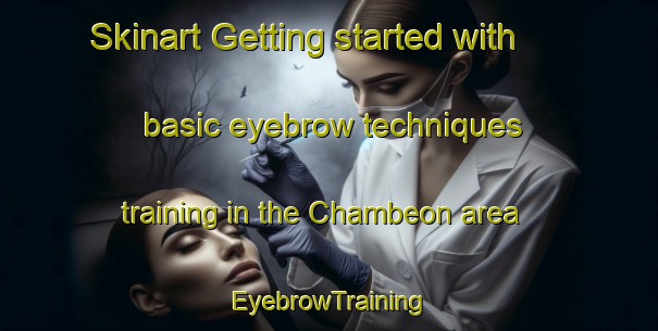 Skinart Getting started with basic eyebrow techniques training in the Chambeon area | EyebrowTraining | EyebrowClasses | SkinartTraining-France