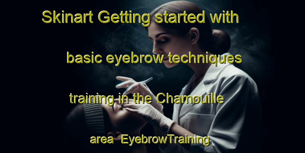 Skinart Getting started with basic eyebrow techniques training in the Chamouille area | EyebrowTraining | EyebrowClasses | SkinartTraining-France