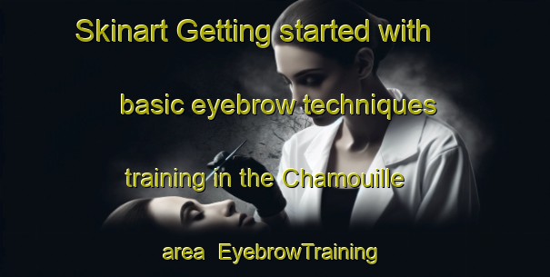 Skinart Getting started with basic eyebrow techniques training in the Chamouille area | EyebrowTraining | EyebrowClasses | SkinartTraining-France