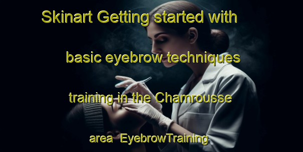 Skinart Getting started with basic eyebrow techniques training in the Chamrousse area | EyebrowTraining | EyebrowClasses | SkinartTraining-France