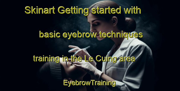 Skinart Getting started with basic eyebrow techniques training in the Le Cuing area | EyebrowTraining | EyebrowClasses | SkinartTraining-France