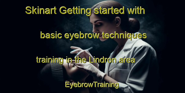 Skinart Getting started with basic eyebrow techniques training in the Lindron area | EyebrowTraining | EyebrowClasses | SkinartTraining-France