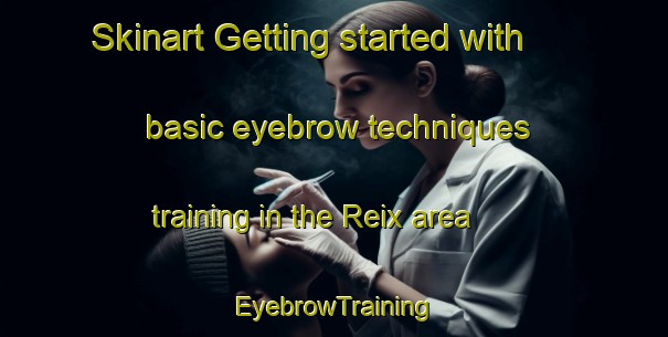 Skinart Getting started with basic eyebrow techniques training in the Reix area | EyebrowTraining | EyebrowClasses | SkinartTraining-France