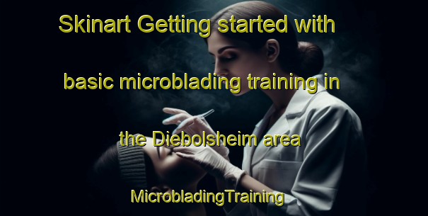 Skinart Getting started with basic microblading training in the Diebolsheim area | MicrobladingTraining | MicrobladingClasses | SkinartTraining-France