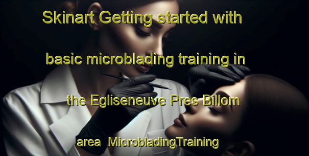 Skinart Getting started with basic microblading training in the Egliseneuve Pres Billom area | MicrobladingTraining | MicrobladingClasses | SkinartTraining-France