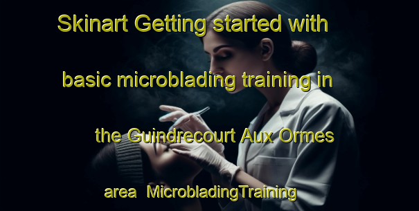 Skinart Getting started with basic microblading training in the Guindrecourt Aux Ormes area | MicrobladingTraining | MicrobladingClasses | SkinartTraining-France