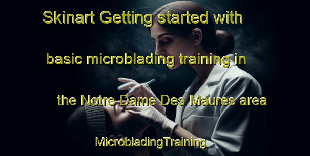 Skinart Getting started with basic microblading training in the Notre Dame Des Maures area | MicrobladingTraining | MicrobladingClasses | SkinartTraining-France