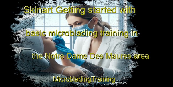 Skinart Getting started with basic microblading training in the Notre Dame Des Maures area | MicrobladingTraining | MicrobladingClasses | SkinartTraining-France