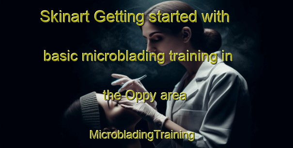 Skinart Getting started with basic microblading training in the Oppy area | MicrobladingTraining | MicrobladingClasses | SkinartTraining-France