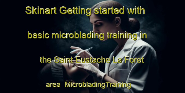 Skinart Getting started with basic microblading training in the Saint Eustache La Foret area | MicrobladingTraining | MicrobladingClasses | SkinartTraining-France