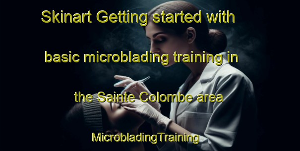 Skinart Getting started with basic microblading training in the Sainte Colombe area | MicrobladingTraining | MicrobladingClasses | SkinartTraining-France