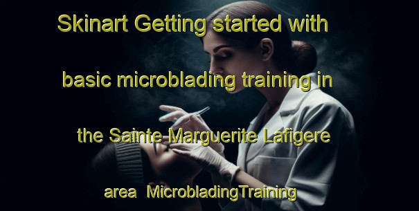Skinart Getting started with basic microblading training in the Sainte Marguerite Lafigere area | MicrobladingTraining | MicrobladingClasses | SkinartTraining-France