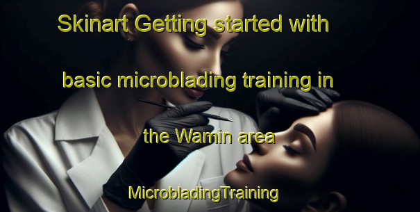 Skinart Getting started with basic microblading training in the Wamin area | MicrobladingTraining | MicrobladingClasses | SkinartTraining-France