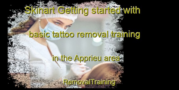 Skinart Getting started with basic tattoo removal training in the Apprieu area | RemovalTraining | RemovalClasses | SkinartTraining-France