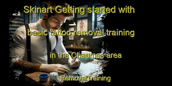 Skinart Getting started with basic tattoo removal training in the Chaumes area | RemovalTraining | RemovalClasses | SkinartTraining-France