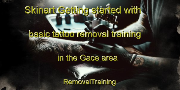 Skinart Getting started with basic tattoo removal training in the Gace area | RemovalTraining | RemovalClasses | SkinartTraining-France