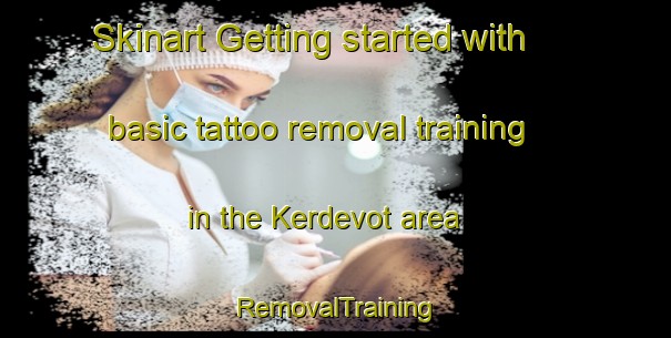 Skinart Getting started with basic tattoo removal training in the Kerdevot area | RemovalTraining | RemovalClasses | SkinartTraining-France