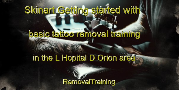 Skinart Getting started with basic tattoo removal training in the L Hopital D Orion area | RemovalTraining | RemovalClasses | SkinartTraining-France