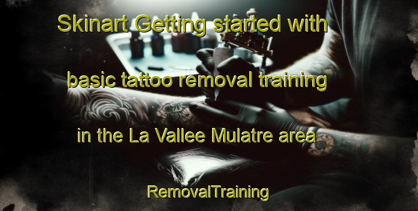 Skinart Getting started with basic tattoo removal training in the La Vallee Mulatre area | RemovalTraining | RemovalClasses | SkinartTraining-France