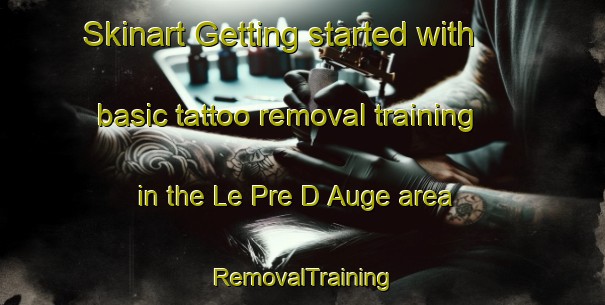 Skinart Getting started with basic tattoo removal training in the Le Pre D Auge area | RemovalTraining | RemovalClasses | SkinartTraining-France