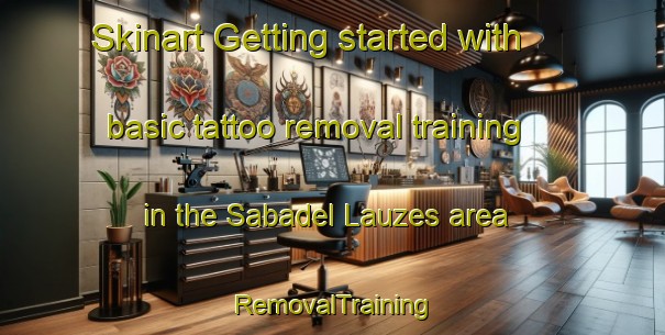 Skinart Getting started with basic tattoo removal training in the Sabadel Lauzes area | RemovalTraining | RemovalClasses | SkinartTraining-France