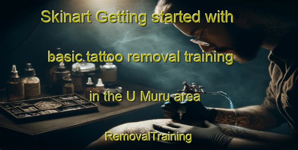 Skinart Getting started with basic tattoo removal training in the U Muru area | RemovalTraining | RemovalClasses | SkinartTraining-France