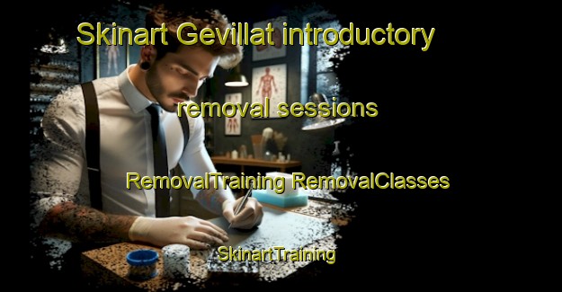 Skinart Gevillat introductory removal sessions | #RemovalTraining #RemovalClasses #SkinartTraining-France