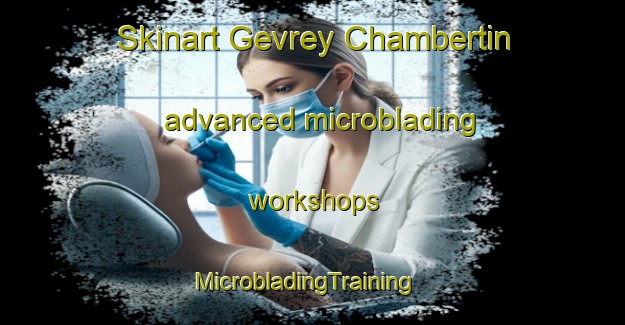 Skinart Gevrey Chambertin advanced microblading workshops | MicrobladingTraining | MicrobladingClasses | SkinartTraining-France