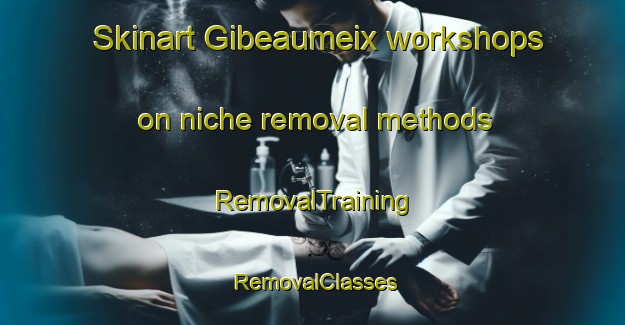Skinart Gibeaumeix workshops on niche removal methods | RemovalTraining | RemovalClasses | SkinartTraining-France