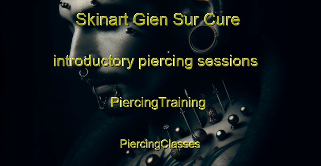 Skinart Gien Sur Cure introductory piercing sessions | #PiercingTraining #PiercingClasses #SkinartTraining-France