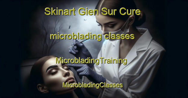 Skinart Gien Sur Cure microblading classes | MicrobladingTraining | MicrobladingClasses | SkinartTraining-France