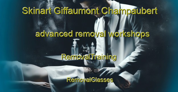 Skinart Giffaumont Champaubert advanced removal workshops | RemovalTraining | RemovalClasses | SkinartTraining-France