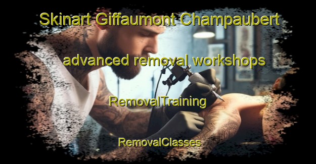 Skinart Giffaumont Champaubert advanced removal workshops | RemovalTraining | RemovalClasses | SkinartTraining-France