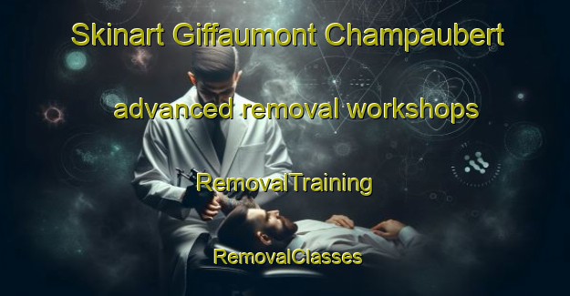 Skinart Giffaumont Champaubert advanced removal workshops | RemovalTraining | RemovalClasses | SkinartTraining-France