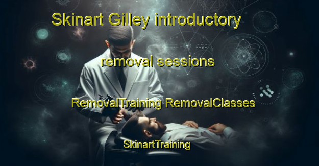 Skinart Gilley introductory removal sessions | #RemovalTraining #RemovalClasses #SkinartTraining-France