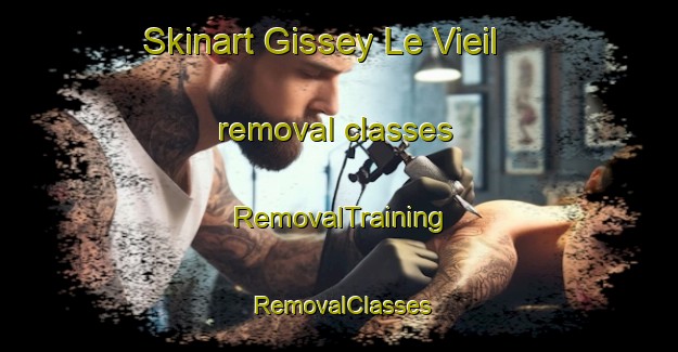 Skinart Gissey Le Vieil removal classes | RemovalTraining | RemovalClasses | SkinartTraining-France