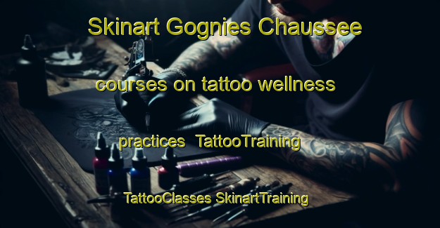 Skinart Gognies Chaussee courses on tattoo wellness practices | #TattooTraining #TattooClasses #SkinartTraining-France