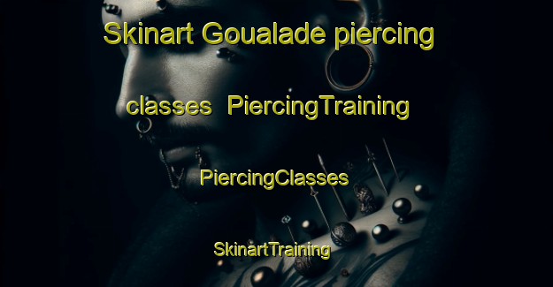 Skinart Goualade piercing classes | #PiercingTraining #PiercingClasses #SkinartTraining-France