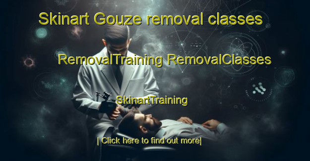 Skinart Gouze removal classes | #RemovalTraining #RemovalClasses #SkinartTraining-France