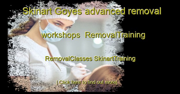 Skinart Goyes advanced removal workshops | #RemovalTraining #RemovalClasses #SkinartTraining-France