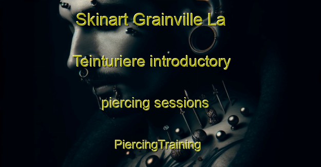 Skinart Grainville La Teinturiere introductory piercing sessions | #PiercingTraining #PiercingClasses #SkinartTraining-France