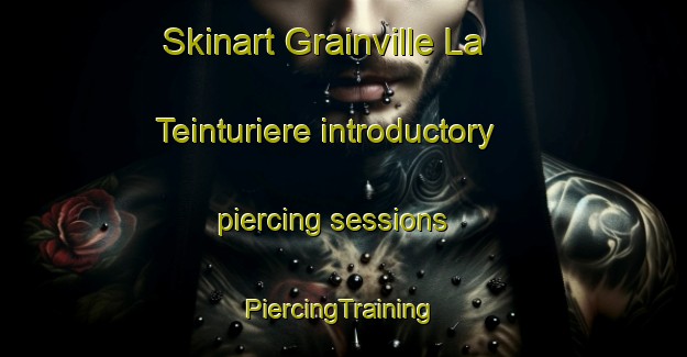 Skinart Grainville La Teinturiere introductory piercing sessions | #PiercingTraining #PiercingClasses #SkinartTraining-France