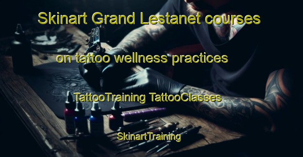 Skinart Grand Lestanet courses on tattoo wellness practices | #TattooTraining #TattooClasses #SkinartTraining-France