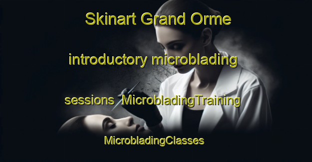 Skinart Grand Orme introductory microblading sessions | MicrobladingTraining | MicrobladingClasses | SkinartTraining-France